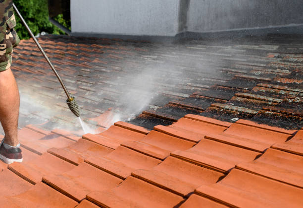 Best Pressure Washing Company Near Me  in Madison, NJ